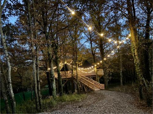 La Cabane perchée du Grand Chêne