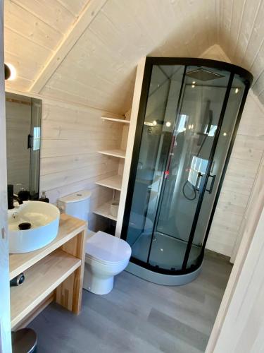 une salle de bain avec une douche, des toilettes et un lavabo dans l'établissement La Cabane perchée du Grand Chêne, à Bongheat