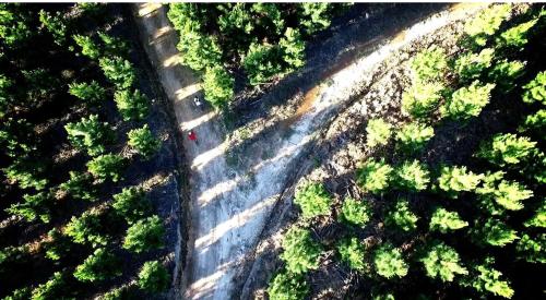 an overhead view of a road with trees at The Hive - Cloud at Misty Mountain Reserve in Stormsrivier