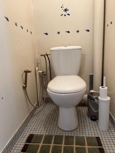 La salle de bains est pourvue de toilettes aux étoiles bleues sur le mur. dans l'établissement Appartement à Caen, à Caen
