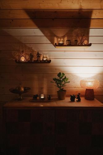 a room with a table with a lamp and a plant at Kisvacok tiny house in Kismaros