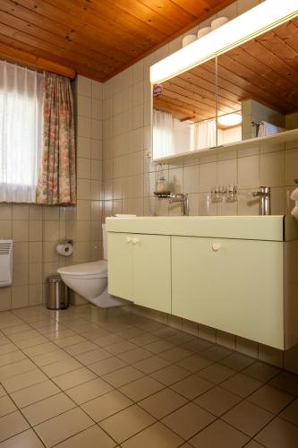 a bathroom with a sink and a toilet at Hotel Restaurant Schönau in Wildhaus