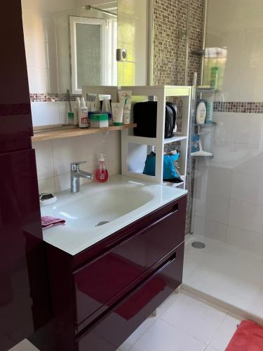 une salle de bain avec un lavabo et une douche dans l'établissement Villa plain-pied tout confort 3 chambres avec jardin proche des plages, à Vias