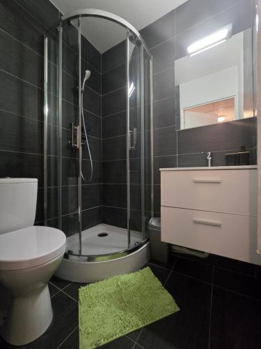 Un baño con ducha, inodoro y lavabo. en L'Oasis urbaine, en Le Mans