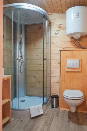 a bathroom with a shower and a toilet at Hiska Na Samem v Slovenj Gradcu in Slovenj Gradec