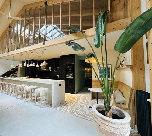 Gallery image of Maison d architecte contemporaine la pierre blanche in Bordeaux