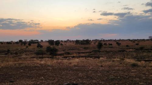 an open field with a sunset in the distance at Amanya Star Bed Amboseli in Amboseli