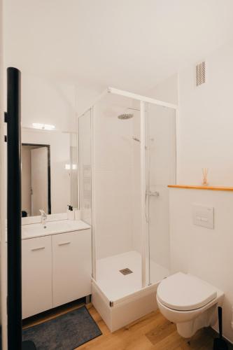 une salle de bain blanche avec douche et toilettes dans l'établissement Loft travel business, à Pau