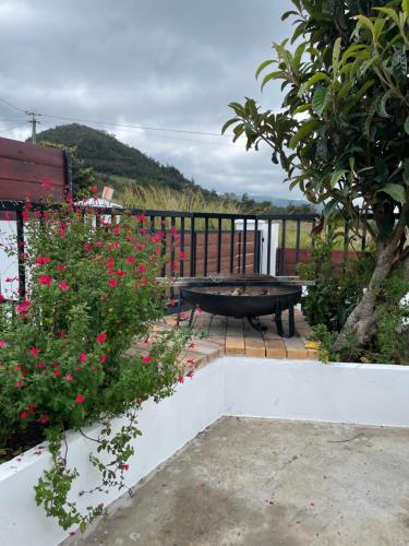 a patio with a picnic table and red flowers at La case d'Édith in Le Tampon