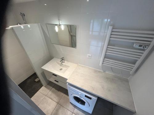 une petite salle de bain avec un lavabo et un miroir dans l'établissement La Loge de Gustave et son patio avec Wifi et parking privée, à Mont-de-Marsan