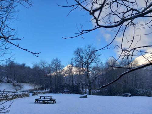 a picnic table in the snow with snow covered trees at Nevis Pod, West Highland Way Holidays in Kinlochleven