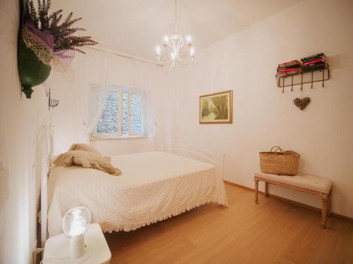 a bedroom with a white bed and a window at dimora 13 in Casale Marittimo