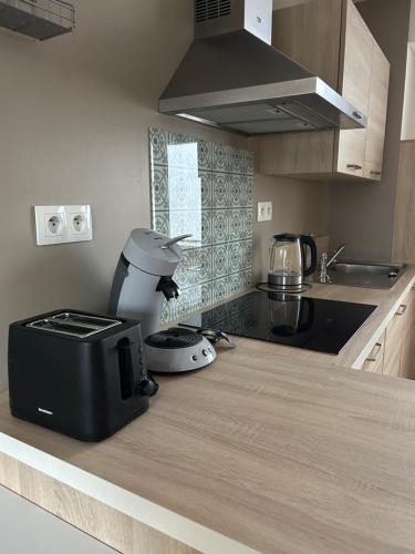 une cuisine avec un comptoir, un grille-pain et un mixeur dans l'établissement Duplex Lumineux 60m2 Dunkerque Centre, 2 min port, à Dunkerque