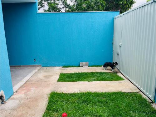a black dog standing next to a blue wall at Casa de praia aconchegante com ar in Serra