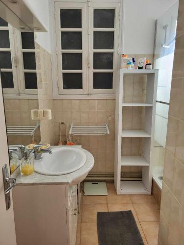 une salle de bain avec un lavabo blanc et une douche dans l'établissement Appartement proche du lac d'Hossegor, à Soorts-Hossegor