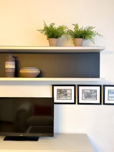 a shelf with three plants and three pictures on it at Piso en el corazón de Baiona con vistas al mar in Baiona
