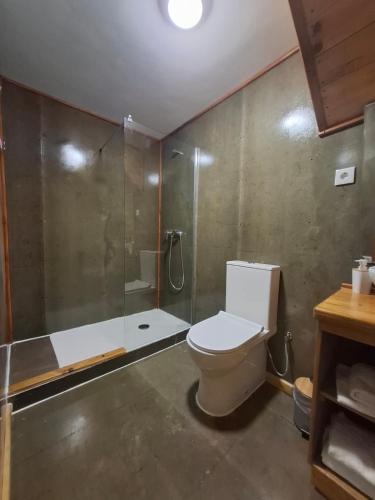 a bathroom with a toilet and a glass shower at Setubal Apartments in Setúbal