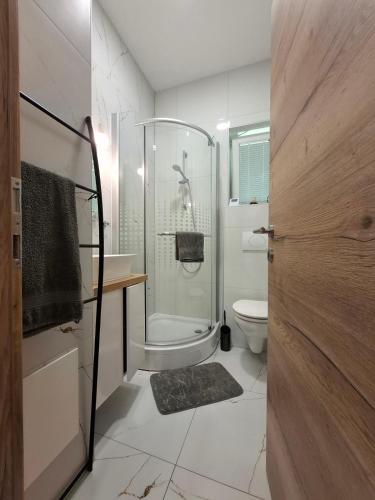 a bathroom with a shower and a toilet at apartma Pohorc - Praprot in Pohorje