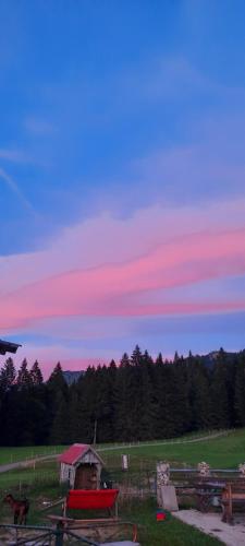 Gallery image of Jausenstation Neuschwand in Hittisau