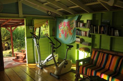 Fitness centrum a/nebo fitness zařízení v ubytování Mango Island Lodges