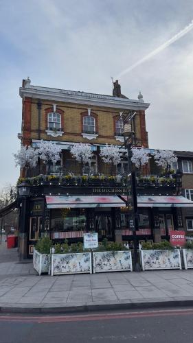 The Duchess Belle Hotel photo 18