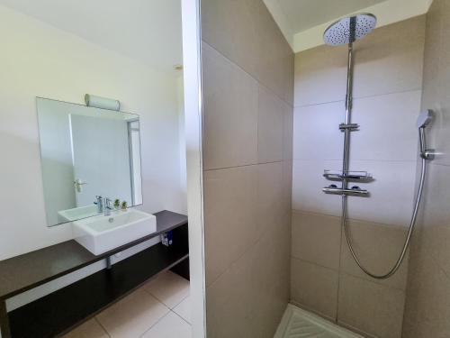 a bathroom with a sink and a shower at Résidence de Nodeven in Guissény