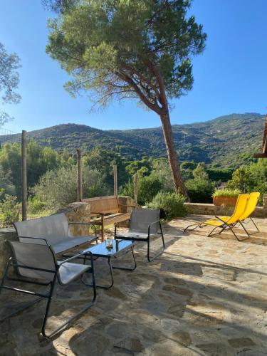 Naturlandskabet i nærheden af villaen