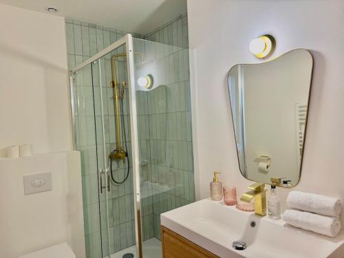 La salle de bains est pourvue d'une douche et d'un lavabo avec un miroir. dans l'établissement Bulles & Prestige Champagne Inn, à Reims