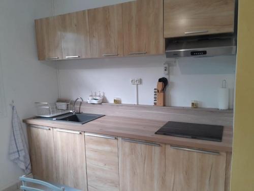 a kitchen with wooden cabinets and a sink at Charming F2 in Sainte-Anne
