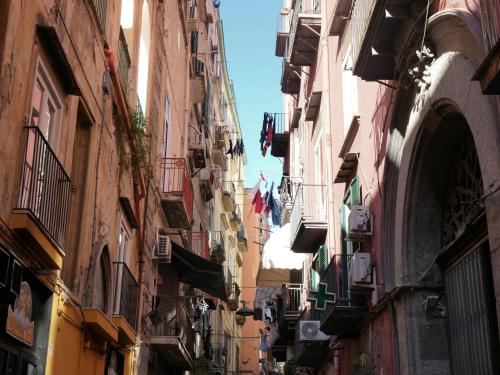 Cor Urbis - le camere