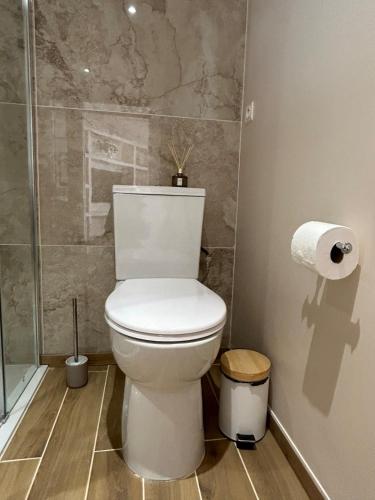 a bathroom with a toilet and a roll of toilet paper at Le Chalet - maison avec jardin et parking in Lourdes