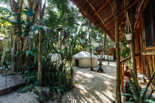 an outside view of a house with trees and a tent at Eco Bañitas Tulum in Tulum