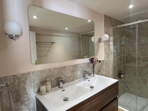 a bathroom with a sink and a mirror and a shower at Le Chalet - maison avec jardin et parking in Lourdes