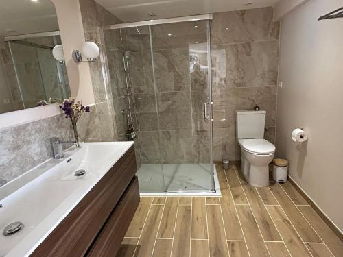a bathroom with a shower and a sink and a toilet at Le Chalet - maison avec jardin et parking in Lourdes