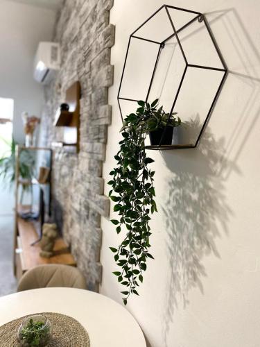 a plant hanging on a wall with a light fixture at Apartment Centrum - Free private parking in Novi Sad