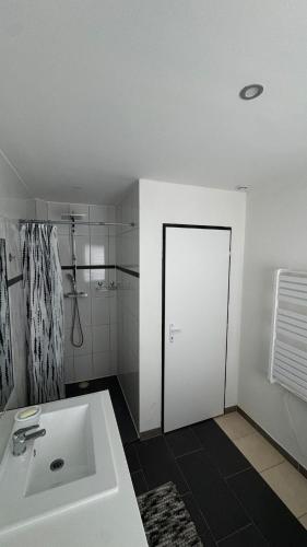 une salle de bain avec un lavabo blanc et une douche dans l'établissement Logement moderne au cœur de l'Alsace, à Niederbronn