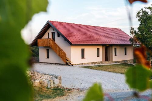 a small house with a red roof at Apartments LESKOVAR in Ormoz