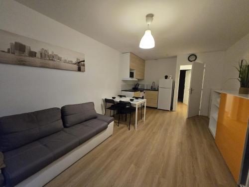 Appartement centre de Paris 19