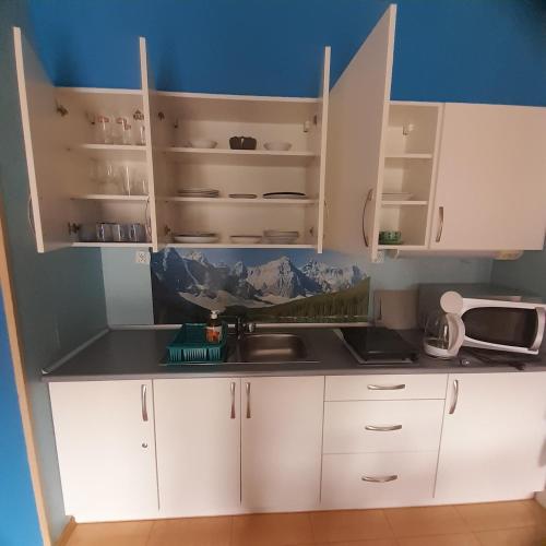 a kitchen with white cabinets and a sink at Willa Gracja in Wisła