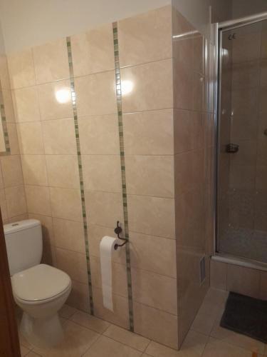 a bathroom with a shower and a toilet at Willa Gracja in Wisła