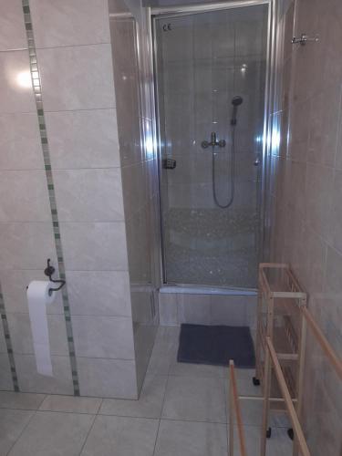 a bathroom with a shower with a roll of toilet paper at Willa Gracja in Wisła
