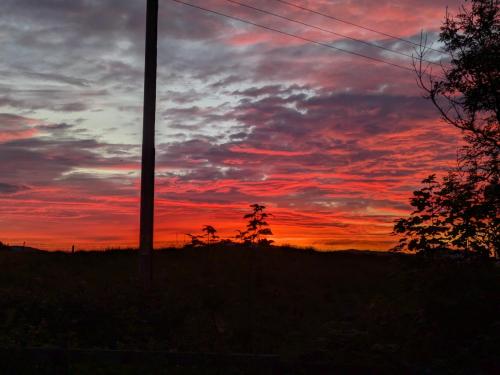 a sunset in a field with a telephone pole at Willowdale B&B in Breakish