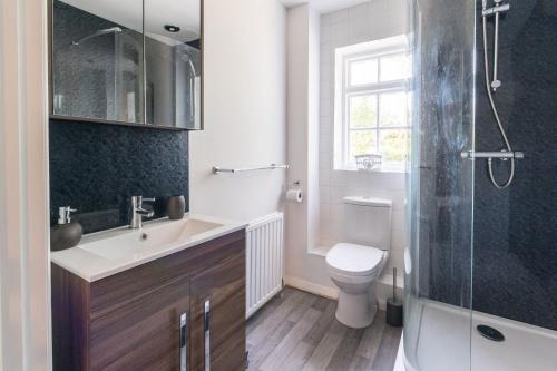 a bathroom with a sink and a toilet and a shower at The Cherry Tree Inn in Ticehurst