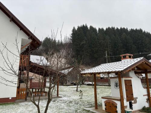 Cabana Umbra Brazilor v zimě