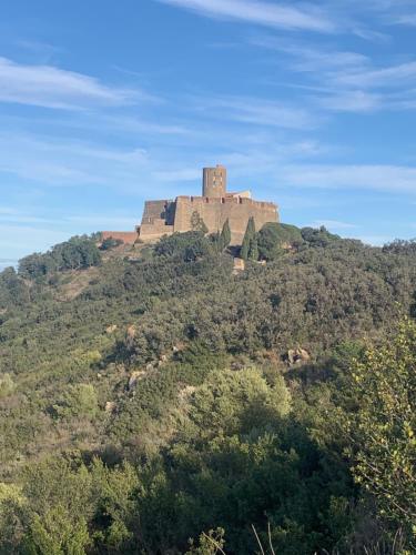 Naturlandskabet i nærheden af lejligheden