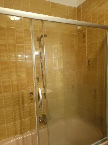 a shower with a glass door in a bathroom at Apartamento PANXOLIÑAS in Panjón