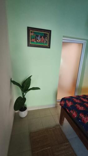 a potted plant sitting on the corner of a room at Secret Hill in Canacona