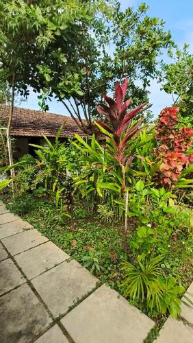 a garden of plants and flowers in front of a house at Secret Hill in Canacona