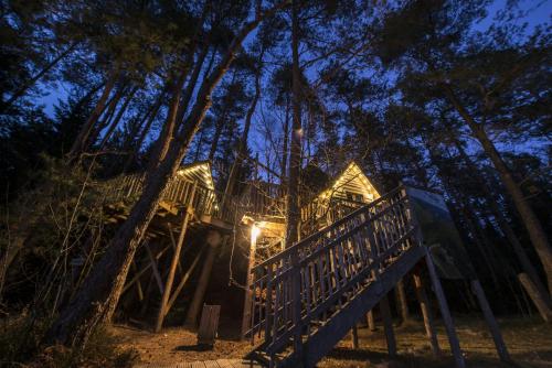 Fotografie z fotogalerie ubytování NIDS des VOSGES v destinaci Champdray