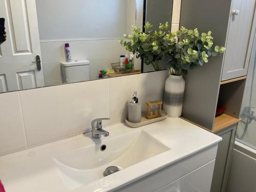 La salle de bains est pourvue d'un lavabo et d'un vase avec des fleurs. dans l'établissement The Sanctuary, à Corby